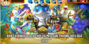 Bắn Cá Bingo | Cách Chơi Và Mẹo Săn Thưởng Hiệu Quả 2026