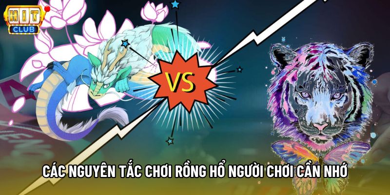 Các nguyên tắc chơi Rồng Hổ người chơi cần nhớ