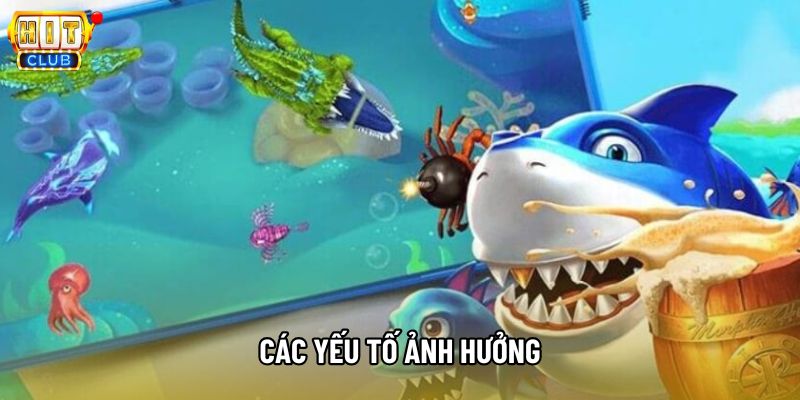 Các yếu tố ảnh hưởng