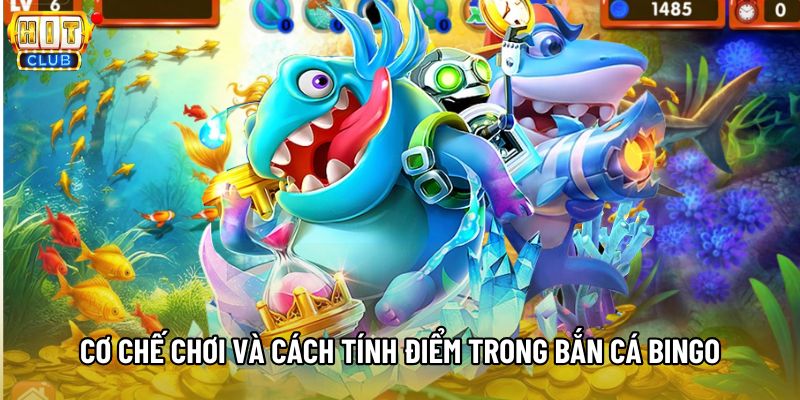 Cơ chế chơi và cách tính điểm trong bắn cá Bingo