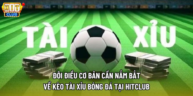 Đôi điều cơ bản cần nắm bắt về kèo tài xỉu bóng đá tại Hitclub