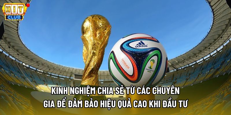 Kinh nghiệm chia sẻ từ các chuyên gia để đảm bảo hiệu quả cao khi đầu tư